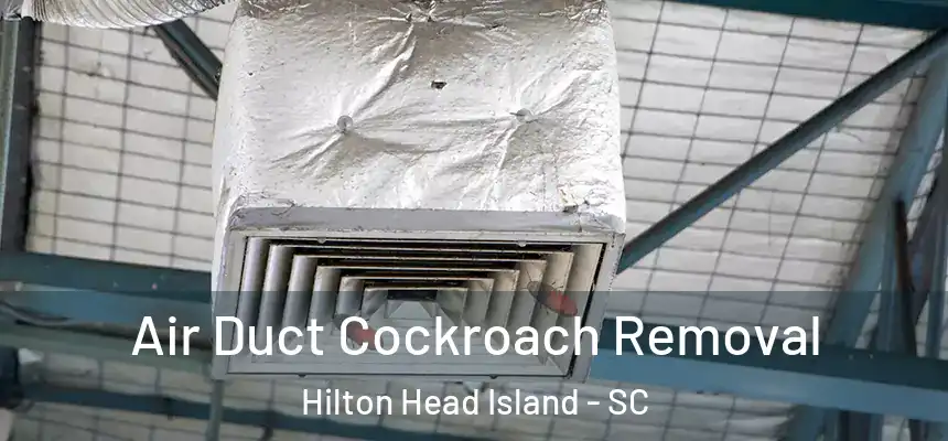 Air Duct Cockroach Removal Hilton Head Island - SC