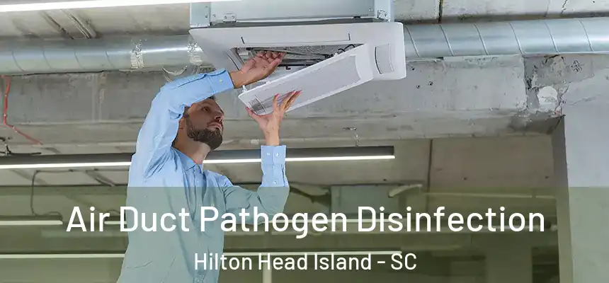 Air Duct Pathogen Disinfection Hilton Head Island - SC