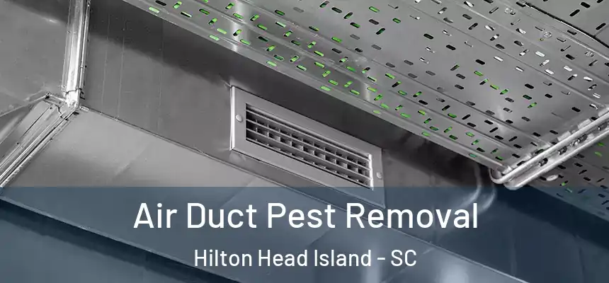 Air Duct Pest Removal Hilton Head Island - SC