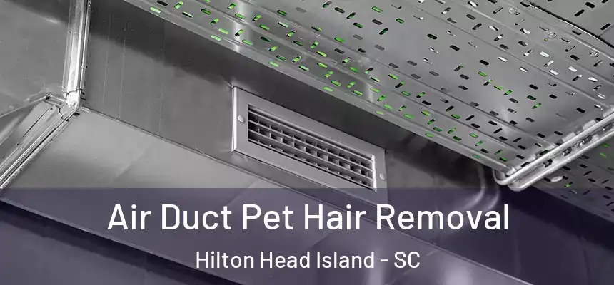 Air Duct Pet Hair Removal Hilton Head Island - SC