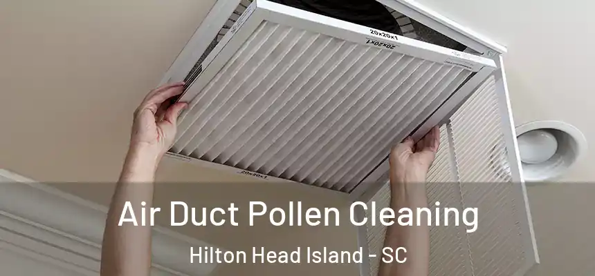 Air Duct Pollen Cleaning Hilton Head Island - SC