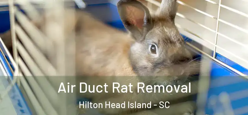 Air Duct Rat Removal Hilton Head Island - SC