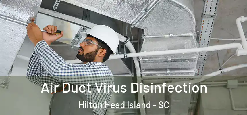 Air Duct Virus Disinfection Hilton Head Island - SC