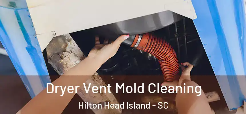 Dryer Vent Mold Cleaning Hilton Head Island - SC