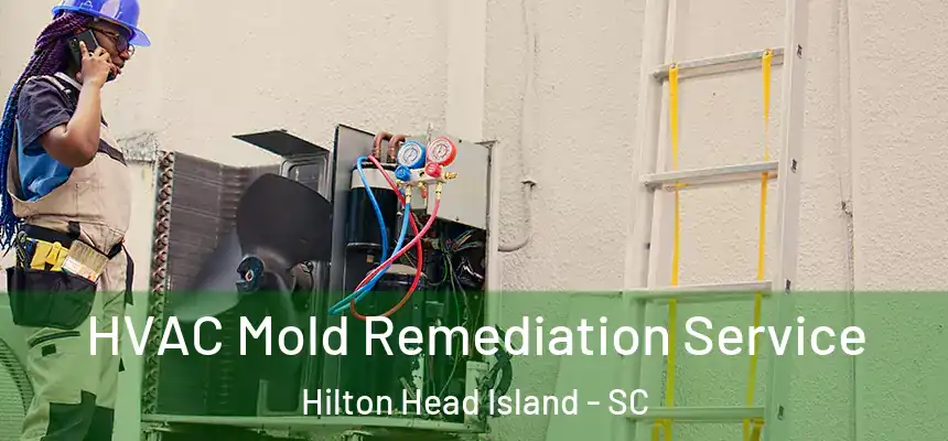 HVAC Mold Remediation Service Hilton Head Island - SC