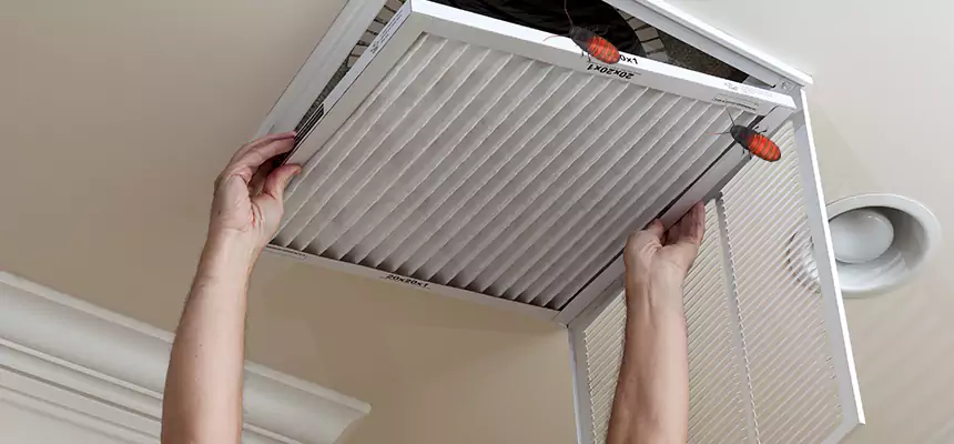 Preventive Cockroach-Proofing for Ducts in Hilton Head Island