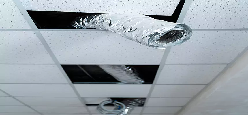 Affordable HVAC Sanitizing After Pest Removal in Hilton Head Island