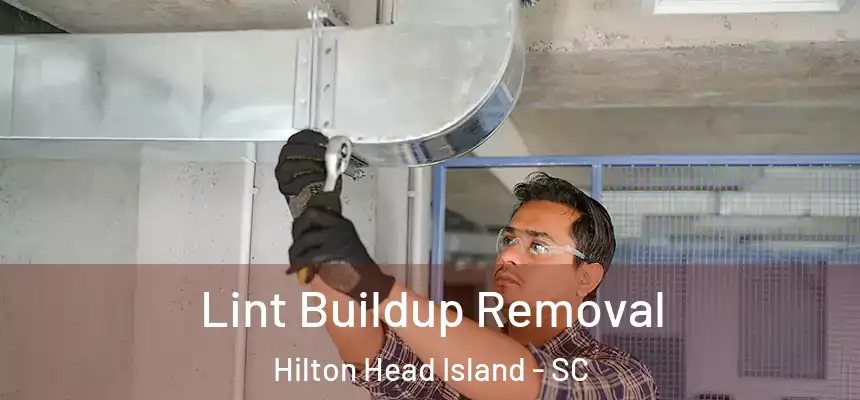 Lint Buildup Removal Hilton Head Island - SC