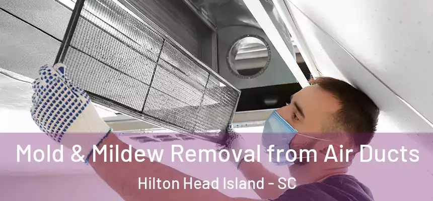 Mold & Mildew Removal from Air Ducts Hilton Head Island - SC