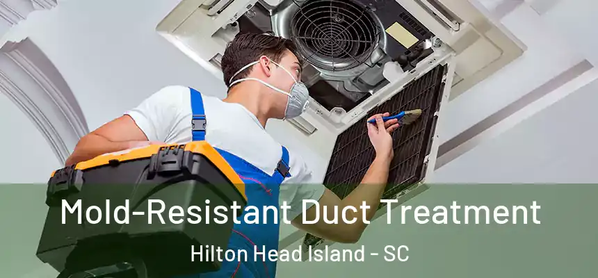 Mold-Resistant Duct Treatment Hilton Head Island - SC