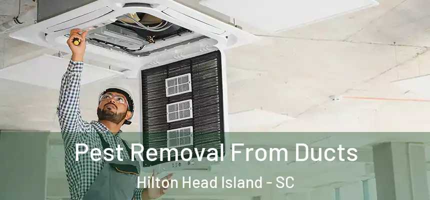 Pest Removal From Ducts Hilton Head Island - SC