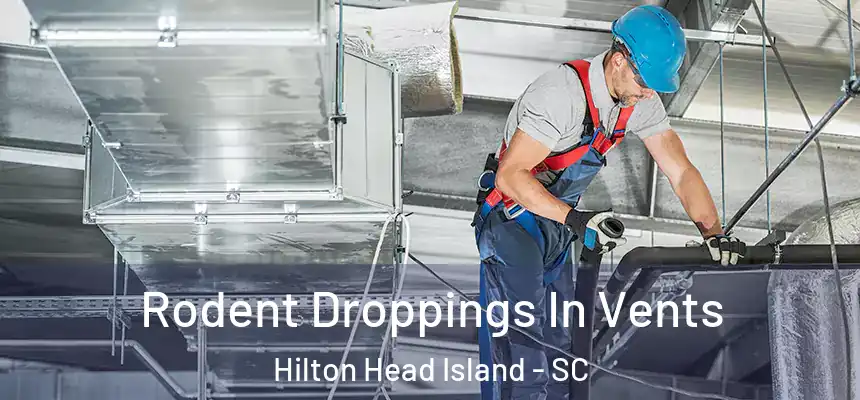 Rodent Droppings In Vents Hilton Head Island - SC