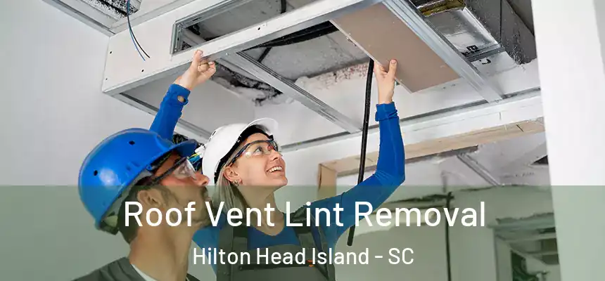 Roof Vent Lint Removal Hilton Head Island - SC