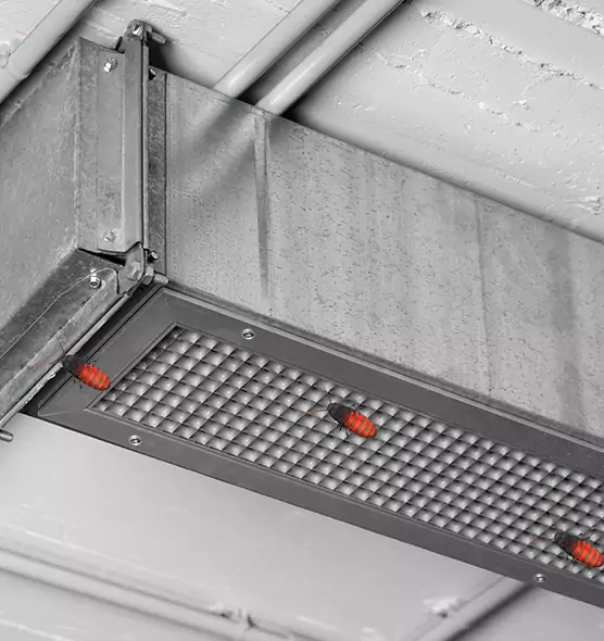 About Air Duct Cockroach Removal in Hilton Head Island, SC