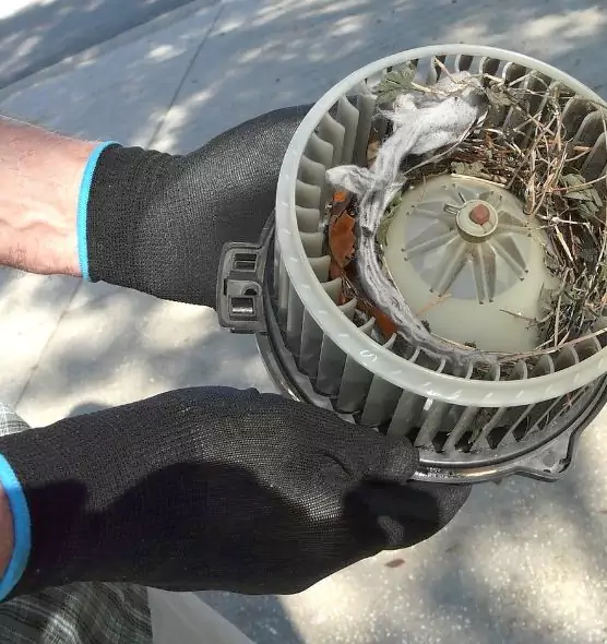 About Air Duct Rat Removal in Hilton Head Island, SC