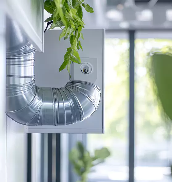 Professional Eco-Safe Dryer Vent Cleaning in Hilton Head Island, SC