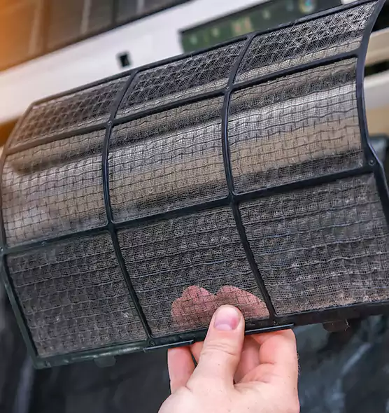 About Pet Dander Duct Cleaning in Hilton Head Island, SC
